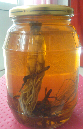 白酒泡什么补肾壮阳,告诉你五种_两性知识