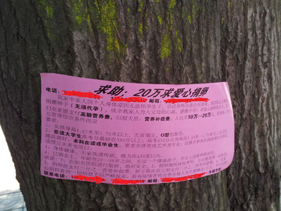 北京捐卵黑市 北京捐卵黑市