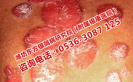 jpg yxb (56).jpg
