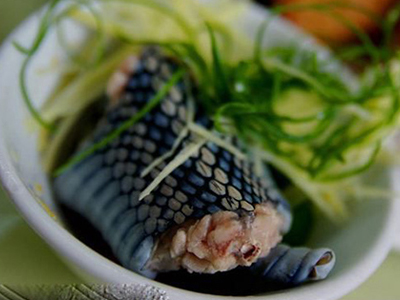 吃蛇無數(shù)變成蛇人