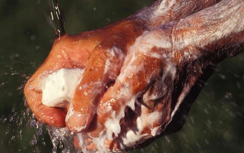 甲肝的危险源：不干净的手