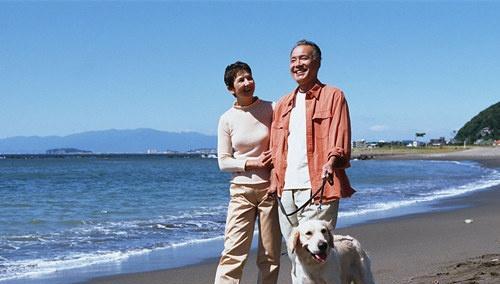 橋腦梗塞的偏方 