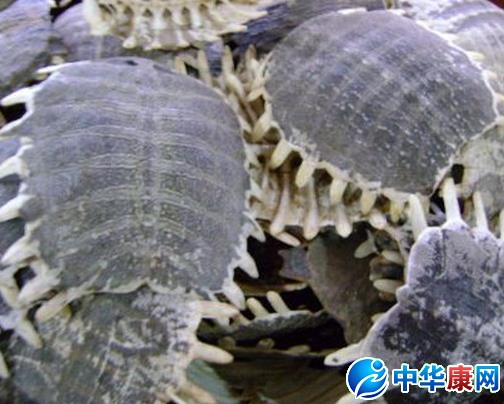 醋鳖甲有什么作用