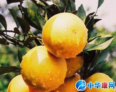 柑核的功效与作用