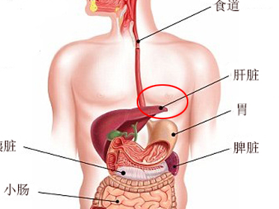 保健按摩手法