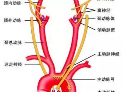 这些穴位别乱碰