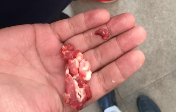 给学生吃猪食
