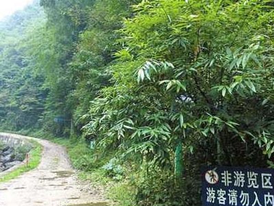 驴友不慎摔下悬崖 导致左腿开放性骨折
