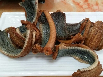 吃蛇无数变成蛇人