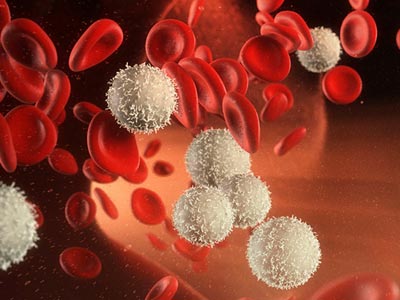 男童为救父亲暴饮暴食 白血病怎样骨髓移植 