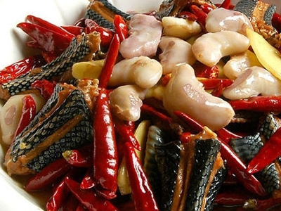 吃蛇无数变成蛇人