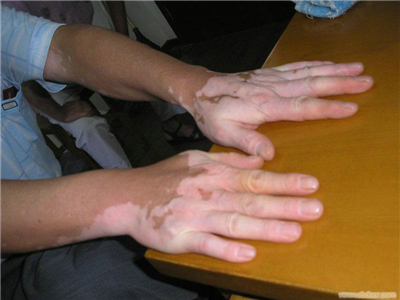 5-110504112113105.jpg