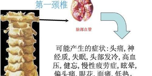 脊柱是开启人体自愈力的金钥匙(2)