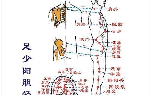 中医经络排毒9诀窍，扫光体内所有毒素(1)