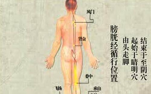 中医经络排毒9诀窍，扫光体内所有毒素(2)