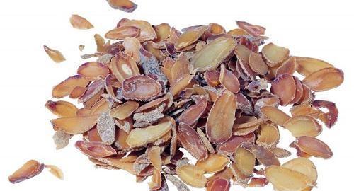 补肾补血的中药有哪些？