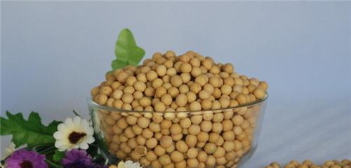 白豆能降血压吗