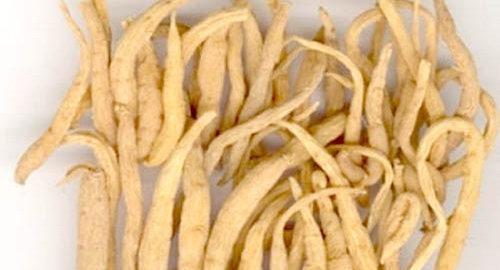 太子参攻效有哪些？(1)