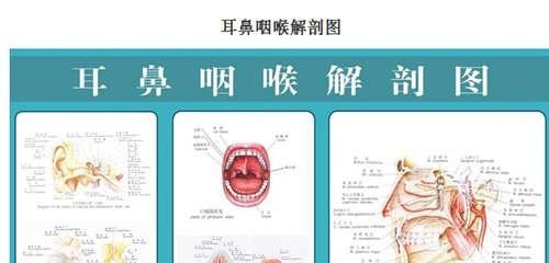 慢性鼻咽炎