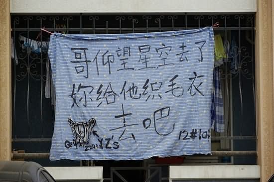 盘点中国特色雷人标语 绝对给力