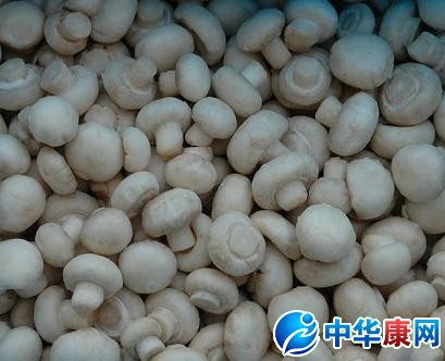 【双孢菇】双孢菇图片介绍_双孢菇的营养价值_中华康网