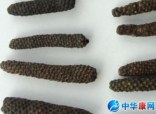 荜茇根的功效与作用