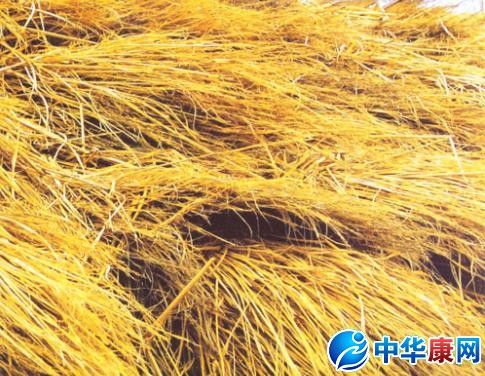 【稻草的功效与作用】中药稻草的功效与作用_稻草的用法用量和禁忌