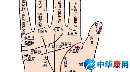 断掌是什么意思