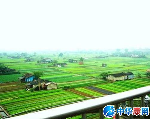 阡陌是什么意思