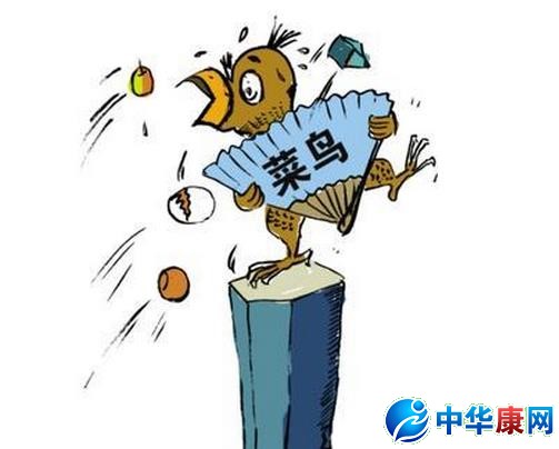 菜鸟是什么意思
